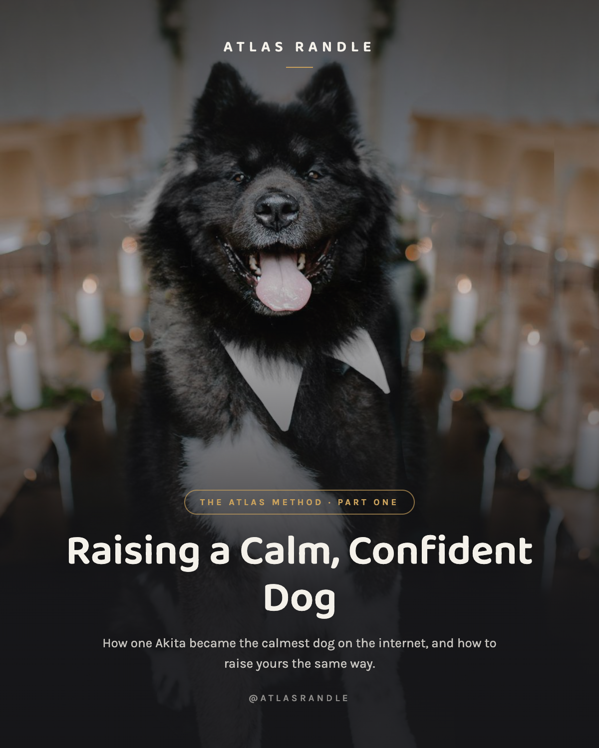 Raising a Calm, Confident Dog — eBook cover featuring Atlas the Akita